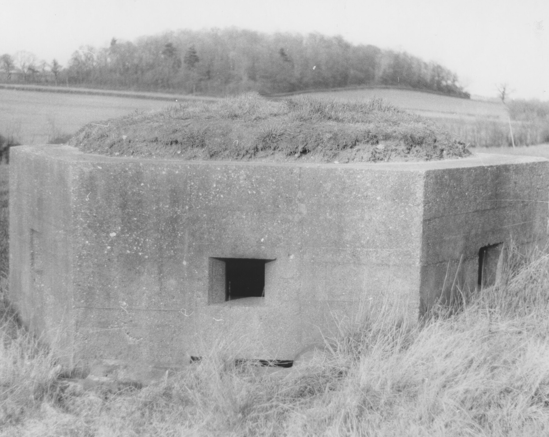 Pill Box
