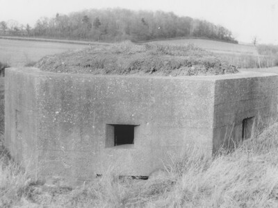 Pill Box