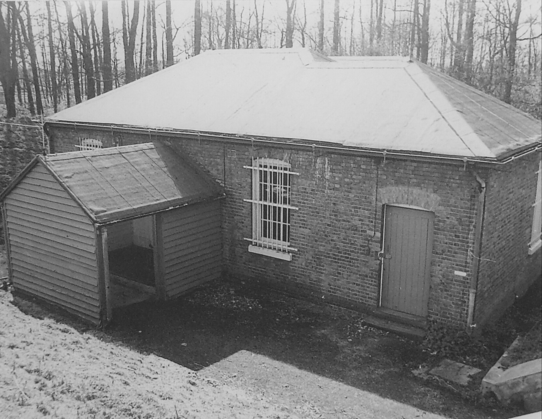 Elephant Hide Building