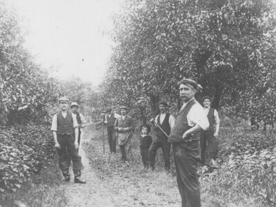 Pryor's Orchard