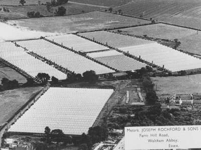 Rochfords Nursery