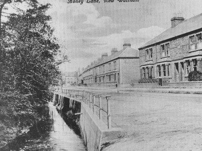 Honey Lane